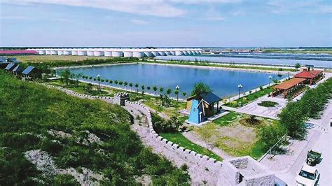 中国创意农业园该如何突破重围走上康庄大道-农业园规划-旅游策划-上海诺狮旅游规划公司