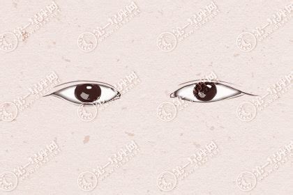 眼型图解与讲解(眼睛是评判美人的标准：丹凤眼魅惑强势，桃花眼妩媚，杏眼显年轻) | 说明书网