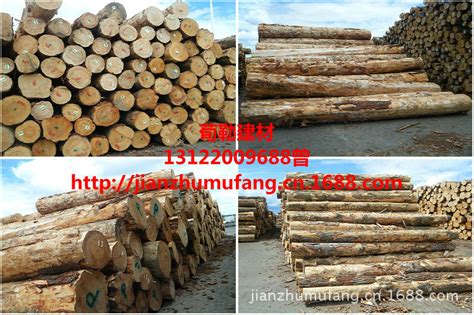 苏州木材批发市场-木方木材加工厂