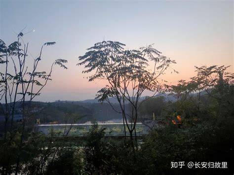 林州这处高速正式通车 这些文旅主题活动您要知道-河南省乡村振兴网