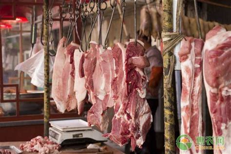 猪肉什么时候能降价 今天猪肉价格多少钱一斤_华夏智能网