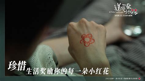 《送你一朵小红花》主题曲《花》MV_腾讯视频