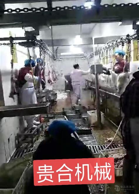 沿河大山村：肉兔产业实现“开门红”_铜仁网