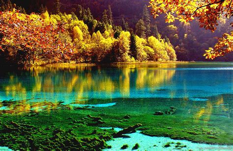 世界旅游胜地 的图像结果