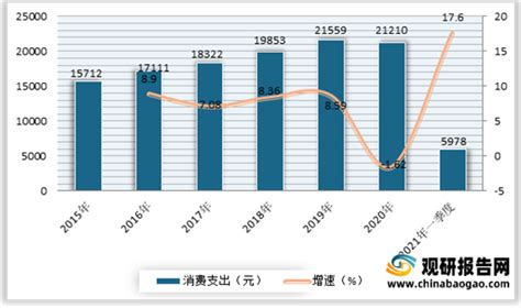 2022-2023年中国冰淇淋行业消费趋势监测与案例研究报告-FoodTalks