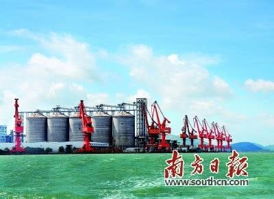 阳江水产加工产业链协作崭露头角-广东省冷链协会