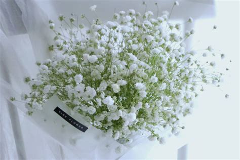 11朵白玫瑰满天星，幸福快乐一辈子 - 六朵花