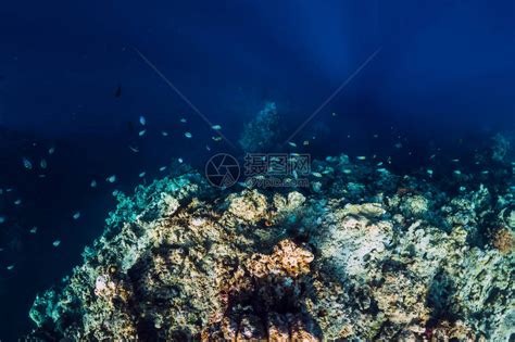 水下风景与岩石和珊瑚在透明海洋中高清图片下载-正版图片506233986-摄图网