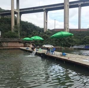 沙坪坝梨树湾杨家沟钓场_沙坪坝梨树湾杨家沟钓场地址_沙坪坝梨树湾杨家沟钓场电话 - 钓鱼之家