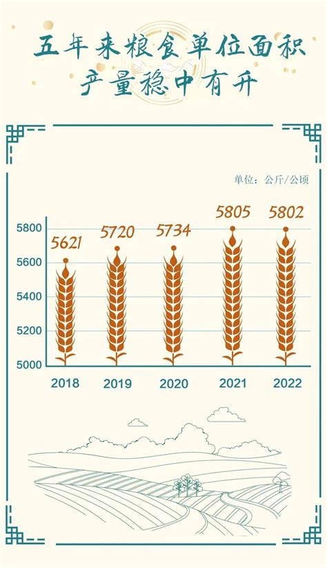 2019年中国粮食产量与细分市场分析，未来我国粮食增产潜力巨大「图」_趋势频道-华经情报网