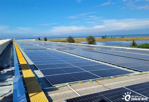 海南洋浦首个分布式光伏项目实现全容量并网-国际太阳能光伏网
