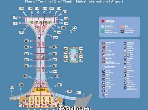 天津机场航站楼平面图,天河机场t3站楼,首都机场t2站楼_大山谷图库