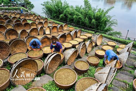 四川合江：传统古法酿酱油