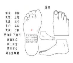 脚底涌泉穴位图图片