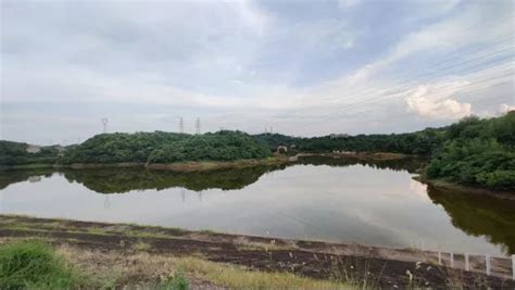 2023衡阳南湖公园游玩攻略,南湖公园是衡阳目前最大的湿... 【去哪儿攻略】