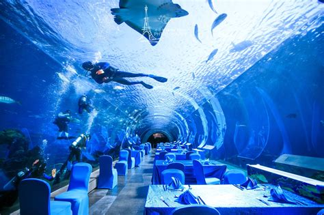 2022大悦洋海洋自助甄选(大东海店)美食餐厅,最重要的是食材非常新鲜！ 想...【去哪儿攻略】