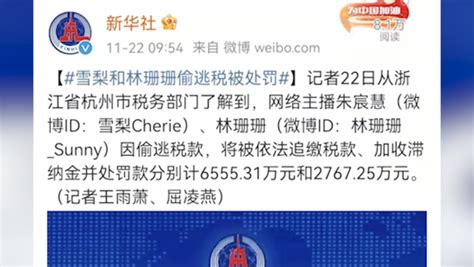 网络主播姚振宇偷逃税被罚没545.8万元