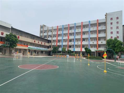 2022广州番禺区小学排名前十（番禺区小学一览表） - 学习 - 布条百科