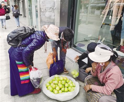 林芝青苹果上市啦 10元一斤