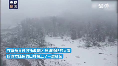 新疆阿勒泰暴风雪亲历者：大雪连下3天冻死很多牛羊，被迫转运_腾讯视频
