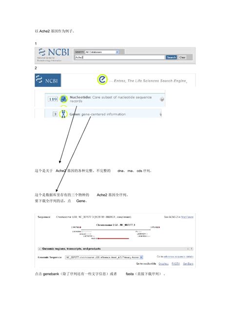 用NCBI查找基因序列教程