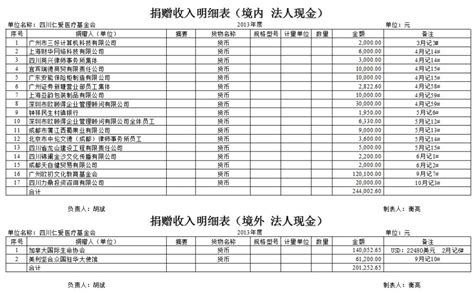 四川仁爱医疗基金会2013年捐赠收入和公益项目支出明细清单_四川 ...