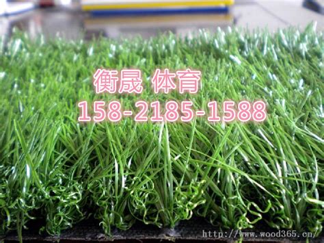 昌邑人造草坪多少钱一平方米
