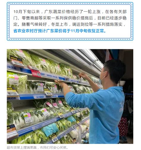 【佛山发布】菜价上涨几时回落？广东农业农村厅分析…… - 大沥信息发布 - 凤池新闻中心