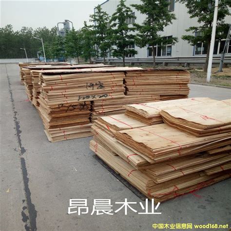 桉木多层板，杨木多层板，桦木多层板，榉木-徐州昂辰木业有限公司