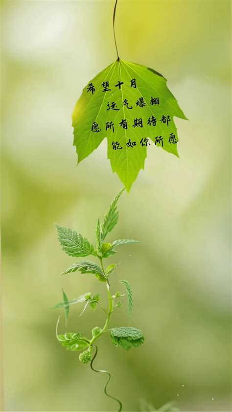 运气爆棚的图片