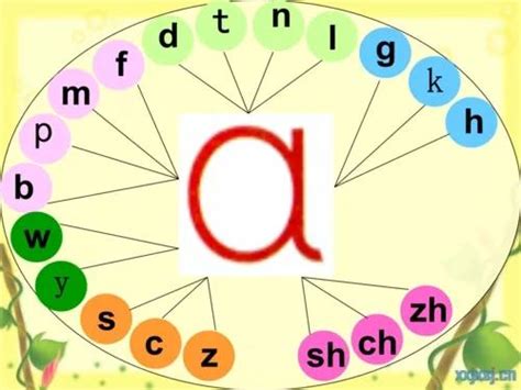 单韵母声调表图片四线三格（拼音单韵母“ɑ、o、e、i、u、ü”知识点总结） | 说明书网