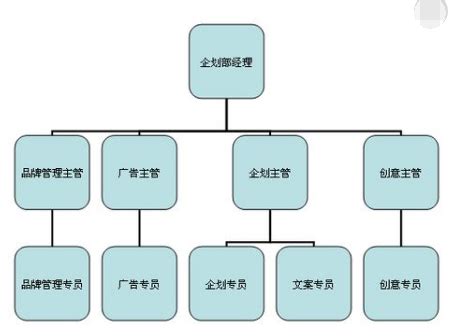 如何画组织结构图，教你简单几步制作好看的组织结构图