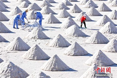 自带“盐值”的千年盐池铲盐忙-新闻中心-温州网