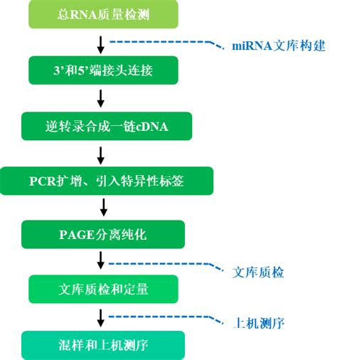 国家纳米中心在肿瘤外泌体microRNA高灵敏检测方面取得进展----中国科学院