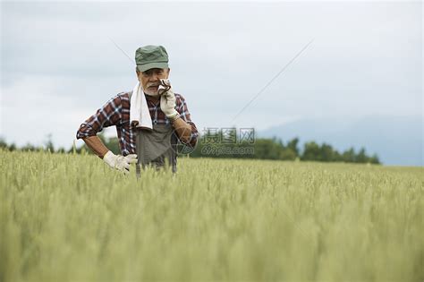 田间劳作的农民高清图片下载-正版图片502031673-摄图网