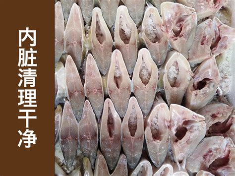 开背清江鱼 800-1000克规格 烤鱼食材速冻清江鱼 江团鱼-阿里巴巴