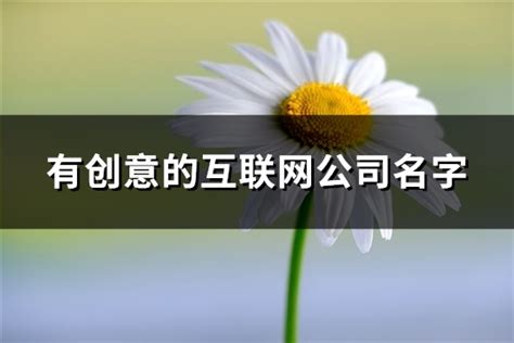 互联网企业标志_素材中国sccnn.com