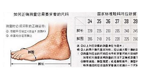 中国标准鞋码对照表（怎么量脚的尺寸买鞋子） - 尚淘福