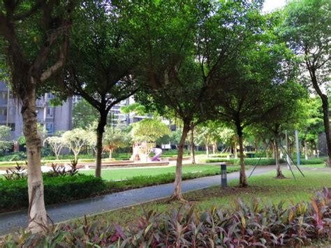 实地测评：亚运城媒体村北区 国学馆与国际学校并存的早教乐园-广州房天下