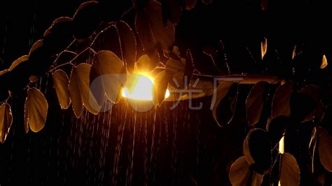 夜晚雨景下雨一个人的雨夜雨伞情人伤感视频_3840X2160_高清视频素材下载(编号:7802601)_实拍视频_光厂(VJ师网) www ...