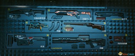 赛博朋克2077储藏处武器有什么_储藏室可以存放什么武器_3DM单机