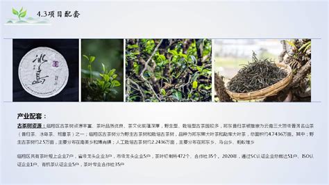 临沧市临翔茶叶全产业链建设项目 --云南投资促进网