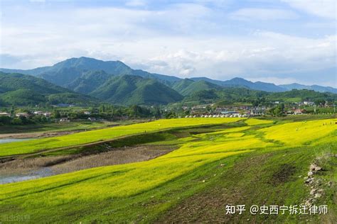 【图解】2021年农村宅基地继承新政策解读（九龙镇）