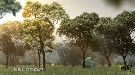 普洱茶小镇宣传片_腾讯视频