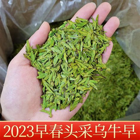 绿茶2023新茶春茶高山云雾炒青茶茶叶玉皇剑有机茶袋装250g_虎窝淘