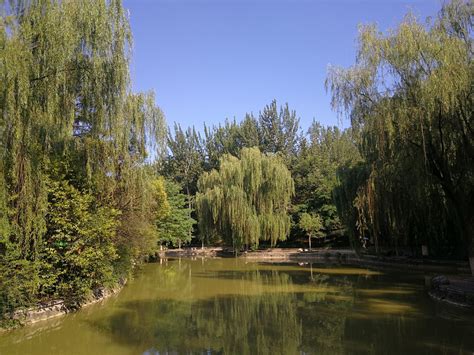 东湖湿地公园尽显生态之美- 旅游信息-长乐旅游-专题专栏-福州市长乐区人民政府