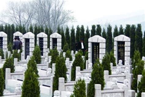 殡葬纸扎,今年 江苏常州6家公墓机构免费提供744个节地生态安葬墓位-桃峰百科网