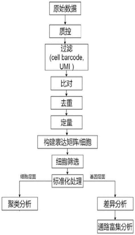 数据处理方法及其系统与流程