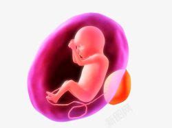7个月胎儿图片的样子 7个月胎儿图片大全 - 水密码123 - 第 2 页