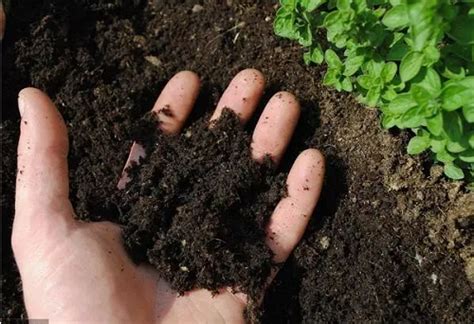 从8个维度修复土壤，让土壤恢复肥沃，种出好产量！ - 土壤改良 - 新农资360网|土壤改良|果树种植|蔬菜种植|种植示范田|品牌展播|农资微专栏